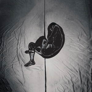 美女直播脱衣被操
