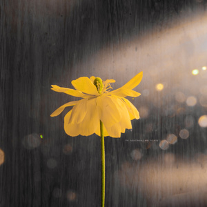 美女直播脱衣被操
